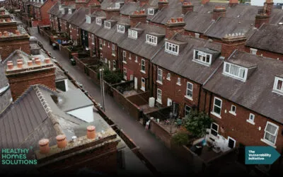 Healthy Homes Solutions and The Vulnerability Initiatives Bulletin – April 2025